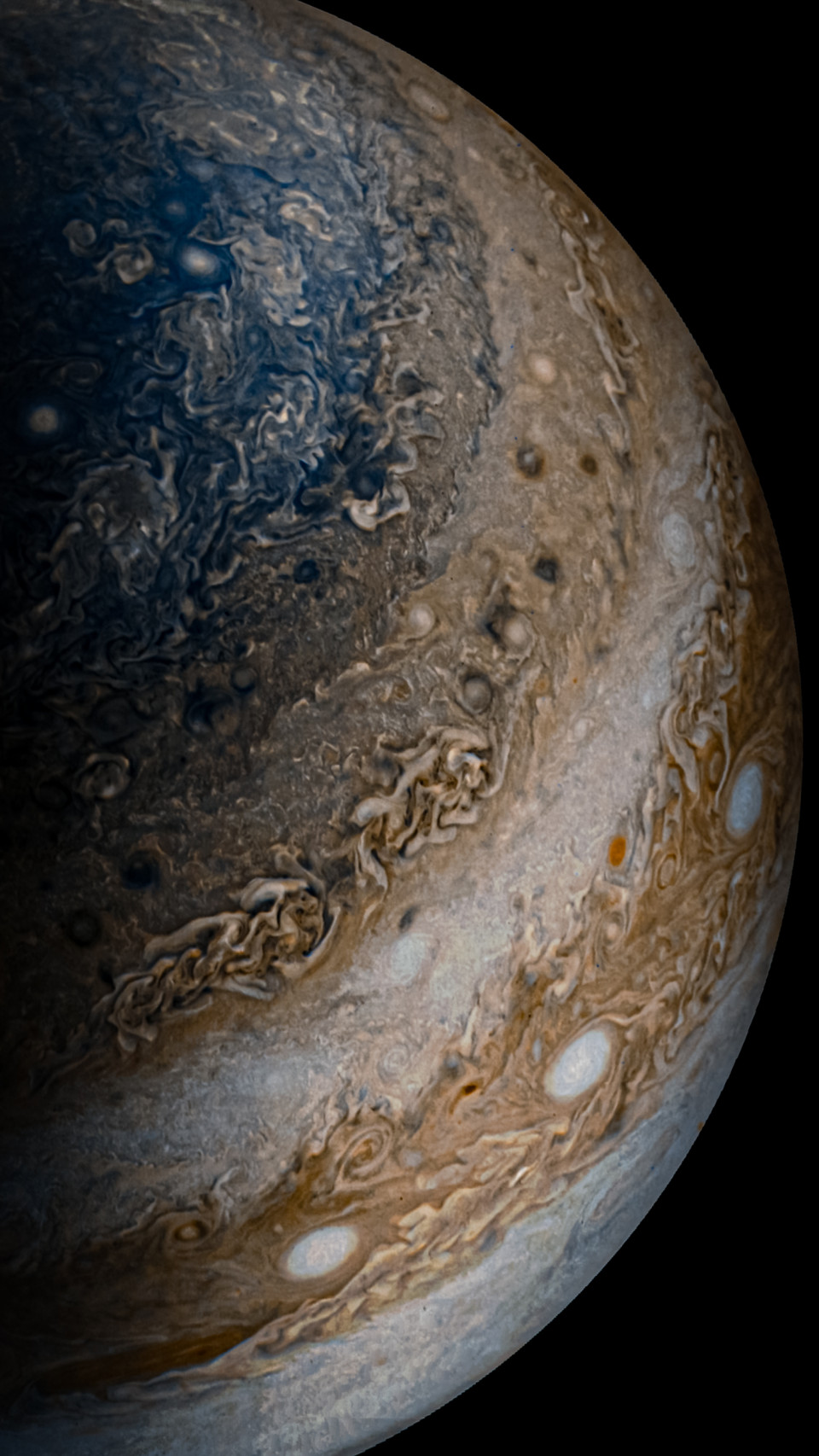 A tall processed JunoCam frame: blue polar region above ochre bands with white ovals